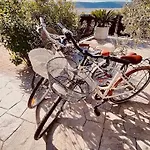 Gea * לוסיה