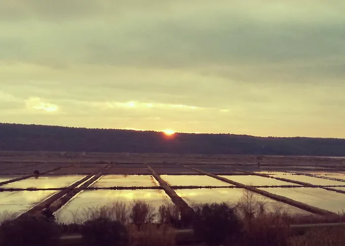 Gea Apartamento Lucija